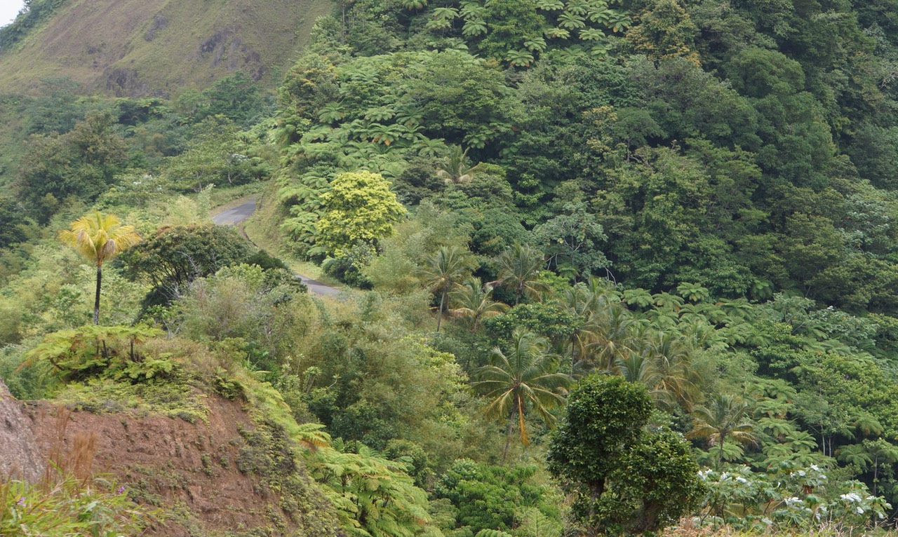 032313 7 Thats the road we are taking ummm