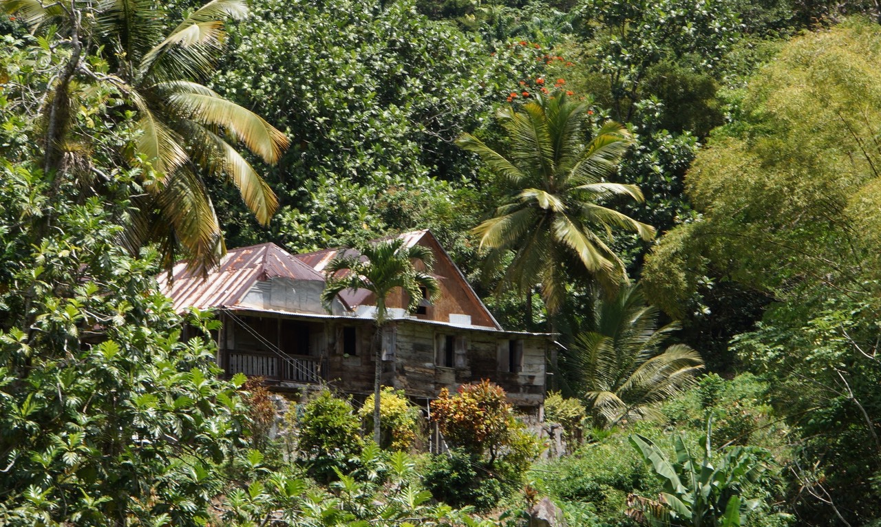 032413 9 Tour Day 2 Southern Dominica coming back from Grand Bay homestead in the greenery
