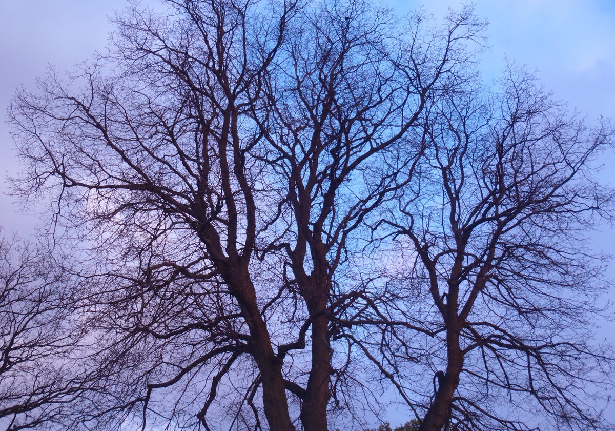 042712 15 Beautiful evening skies