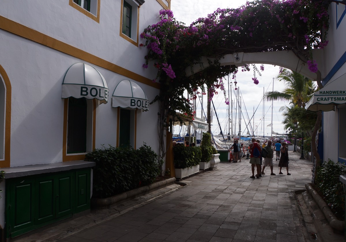 111612 4 Tour Day to Puerto de Mogan