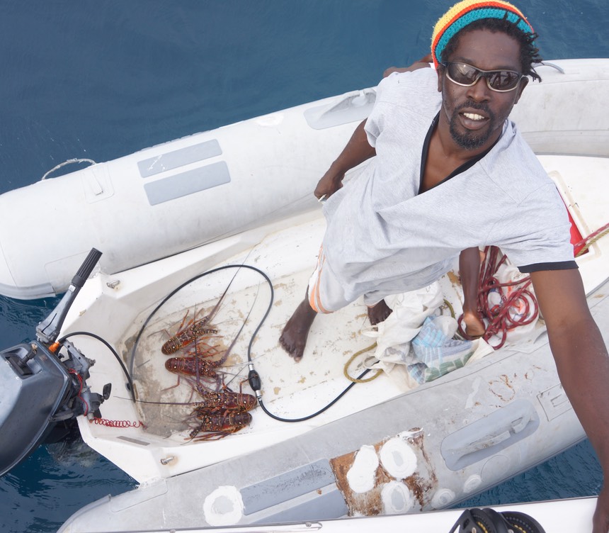 122312 3 Fresh lobster delivery (1)