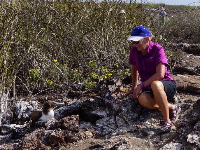 140303 15 Genovesa  Lee with  juvenile red footed booby