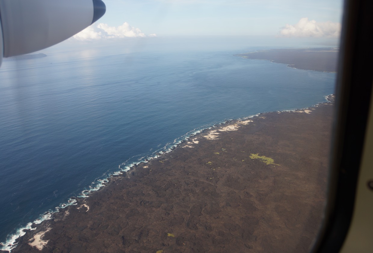 140310 3 Isla Isabela Flying in