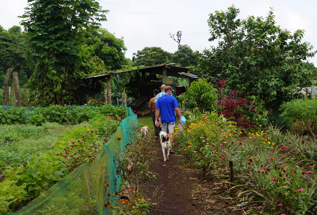 140311 18 Isla Isabela Villamil Farm Shopping