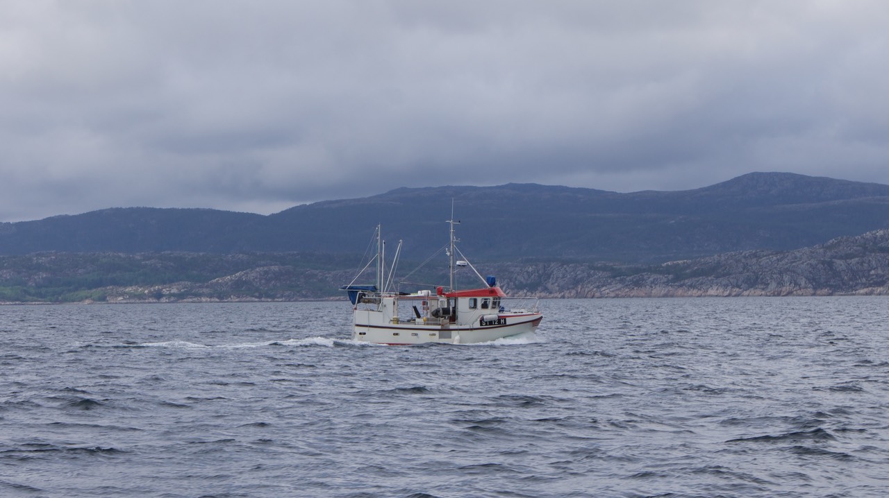 140612 5 Sailing Alesund and Brekstad followed this guy for hours then he called us up to have a chat