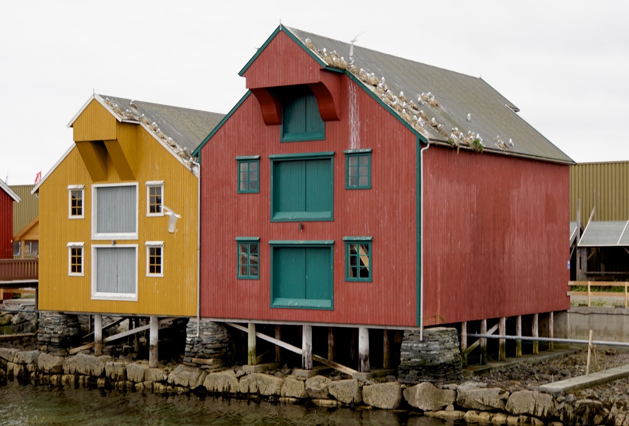 140617 1 Rorvik