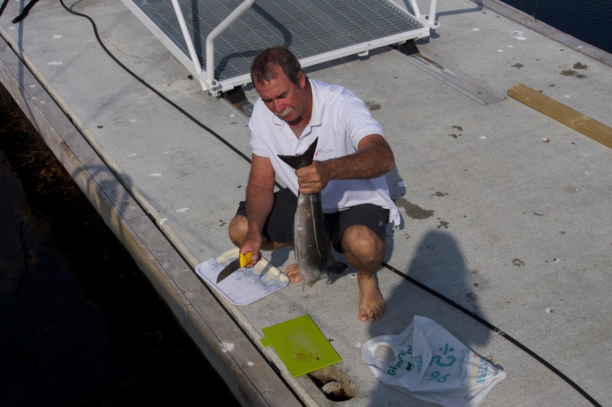 140708 1 Andrew and the fish courtesy of Charles  Rost