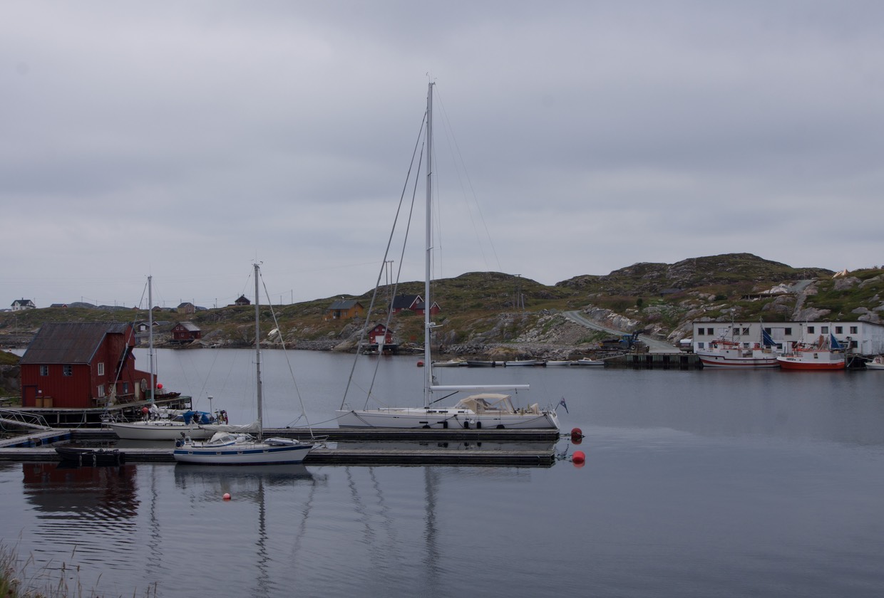 140725 28 Morning walk Little Aursoya Katherine in Harbour