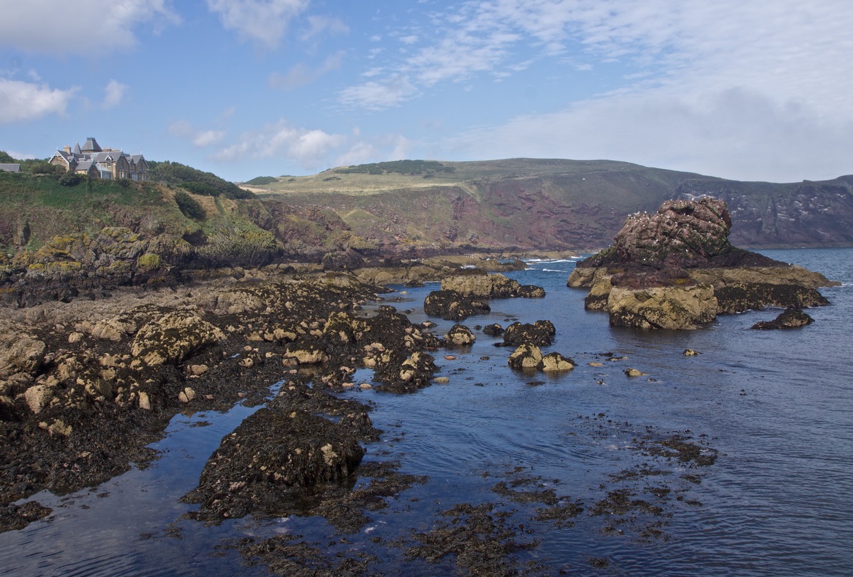 140828 2 St Abbs Harbour