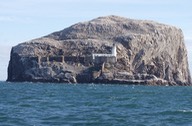140830 1 Bass Rock on our sail to Newcastle