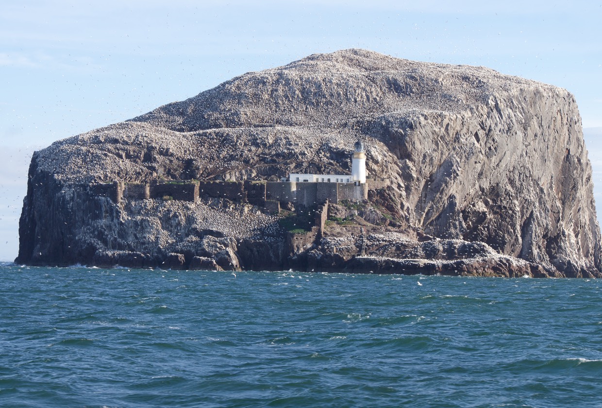 140830 1 Bass Rock on our sail to Newcastle