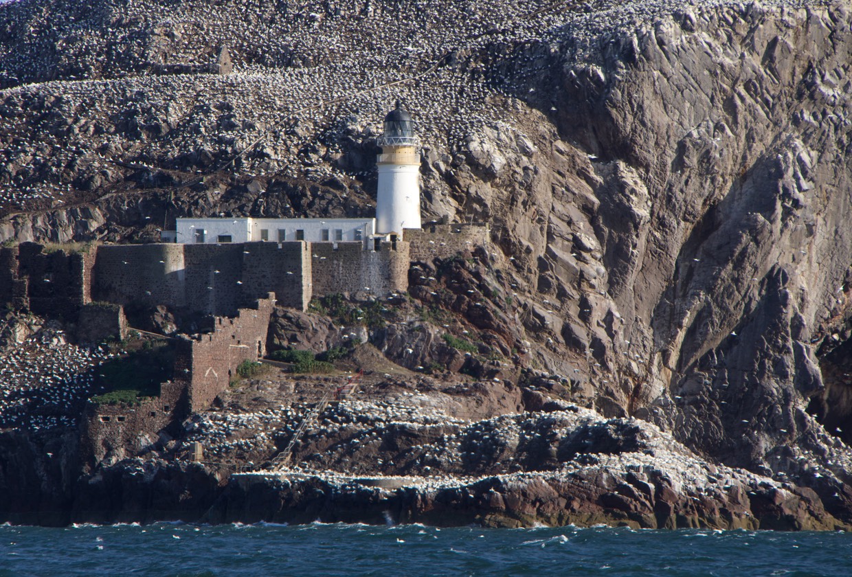 140830 3 Bass Rock on our sail to Newcastle