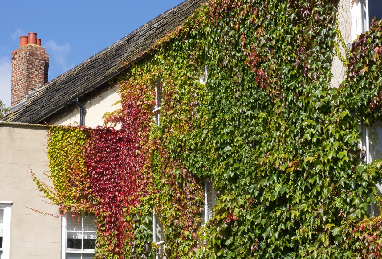 140902 9 Autumn Colours