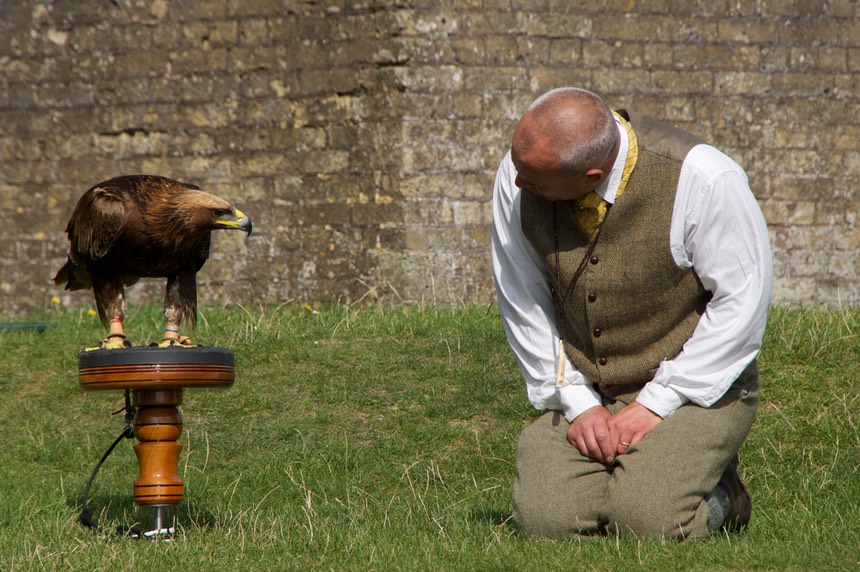 140913 12 Dover Castle Eagle and Handler in conversation