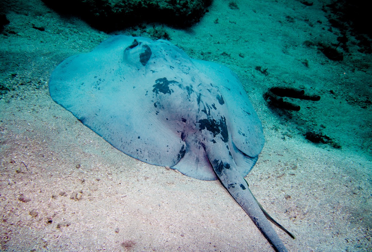 150312 9 Dive Cuba Varadero Beny