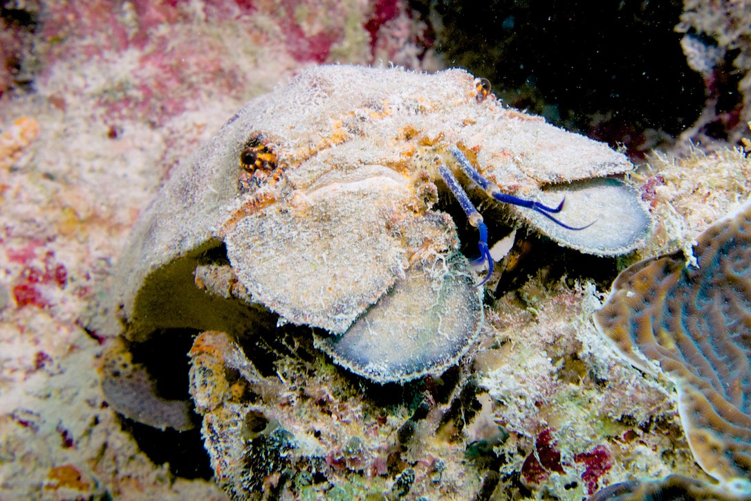 150313 12 Dive Cuba Varadero Cuevitas