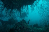 150313 14 Dive Cuba Varadero Cuevitas