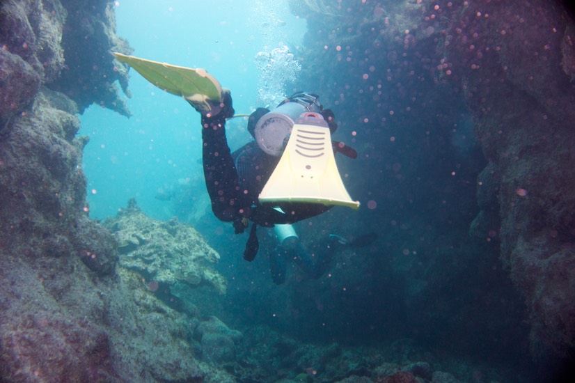 150318 2 Dive Mexico Puerto Morelos The Canyon