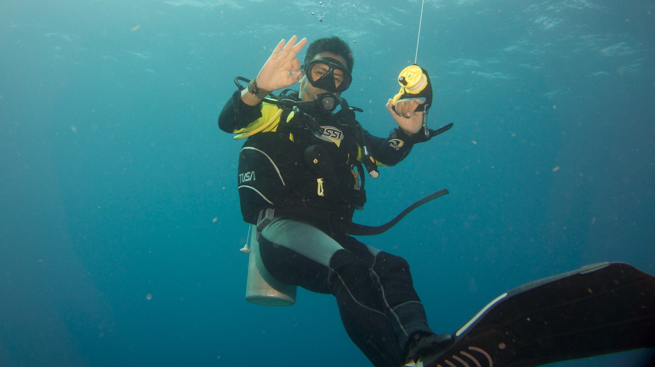 150320 14 Dive Mexico Puerto Morelos The Anchor