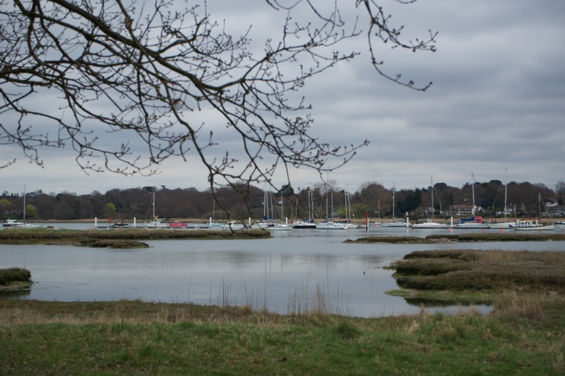 150402 2 Walking the Hamble Common