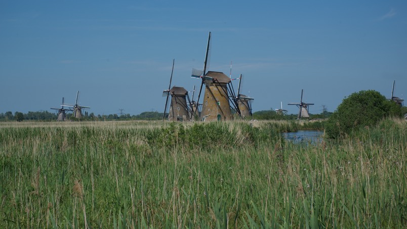 150604 17 Ride Day Alblasserdam Kinderdijk Newport - Kinderdijk