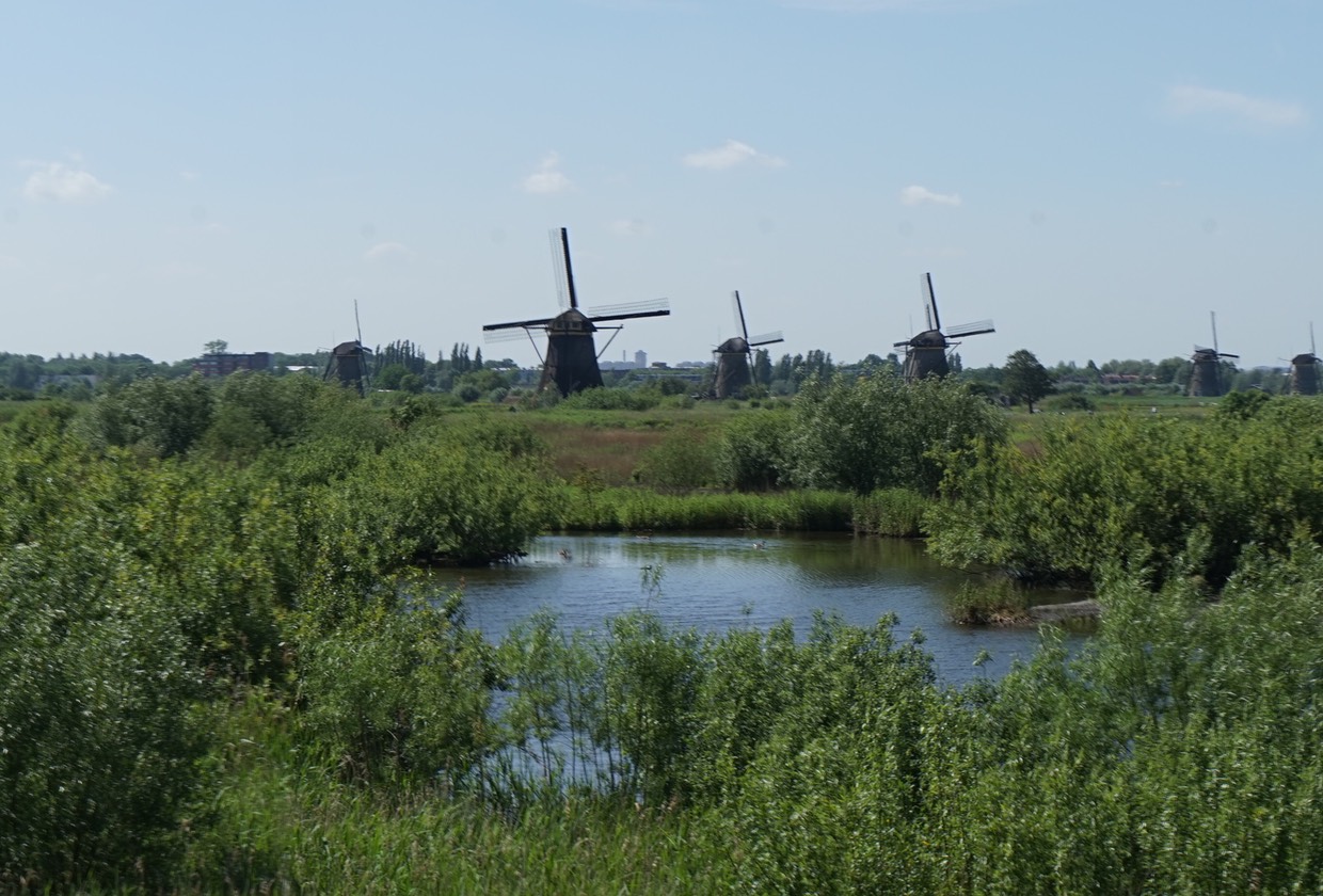 150604 5 Ride Day Alblasserdam Kinderdijk Newport - Kinderdijk