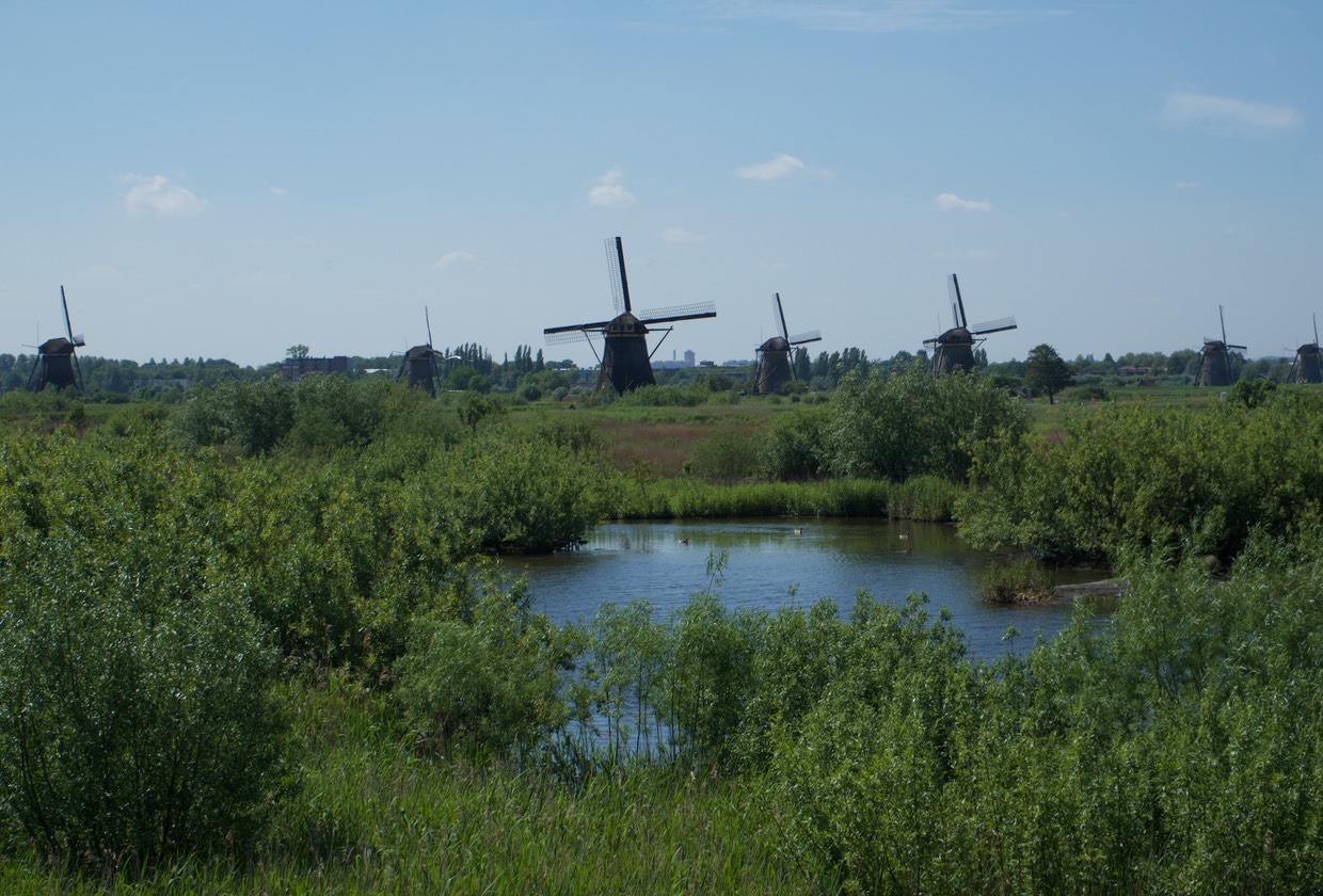 150604 6 Ride Day Alblasserdam Kinderdijk Newport - Kinderdijk