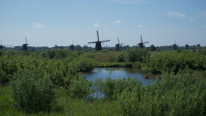 150604 6 Ride Day Alblasserdam Kinderdijk Newport - Kinderdijk