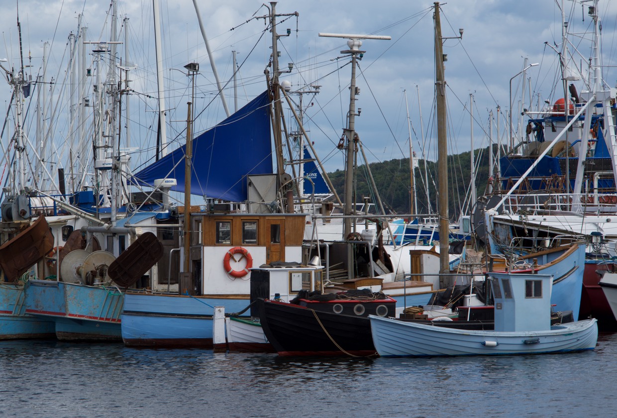 150723 5 Fleet of fishing boats little to big