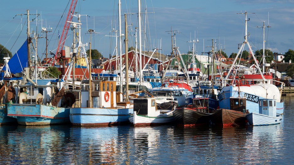 150724 2 Fishing Fleet Gilleleje
