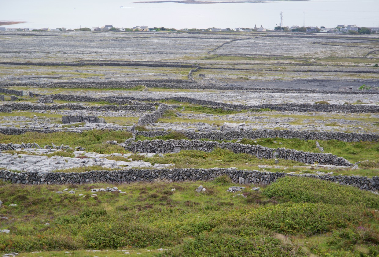 150830 Fences of Aran Island