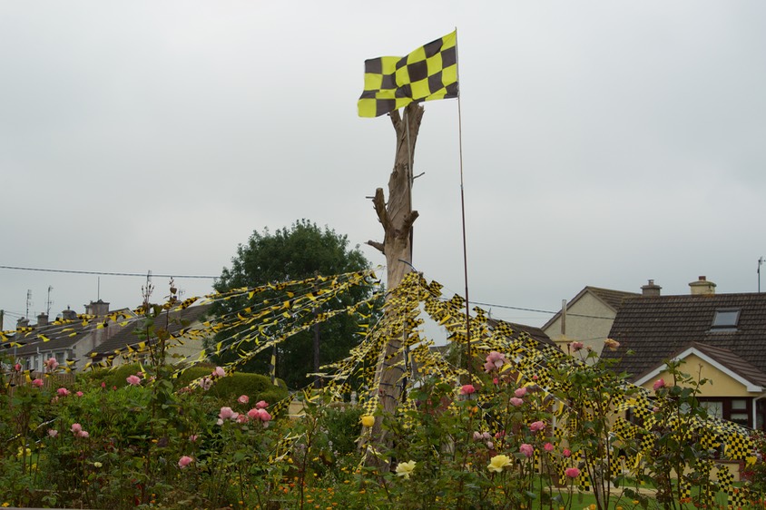 150911 1 Flag Support Carrick on Sur.jpg