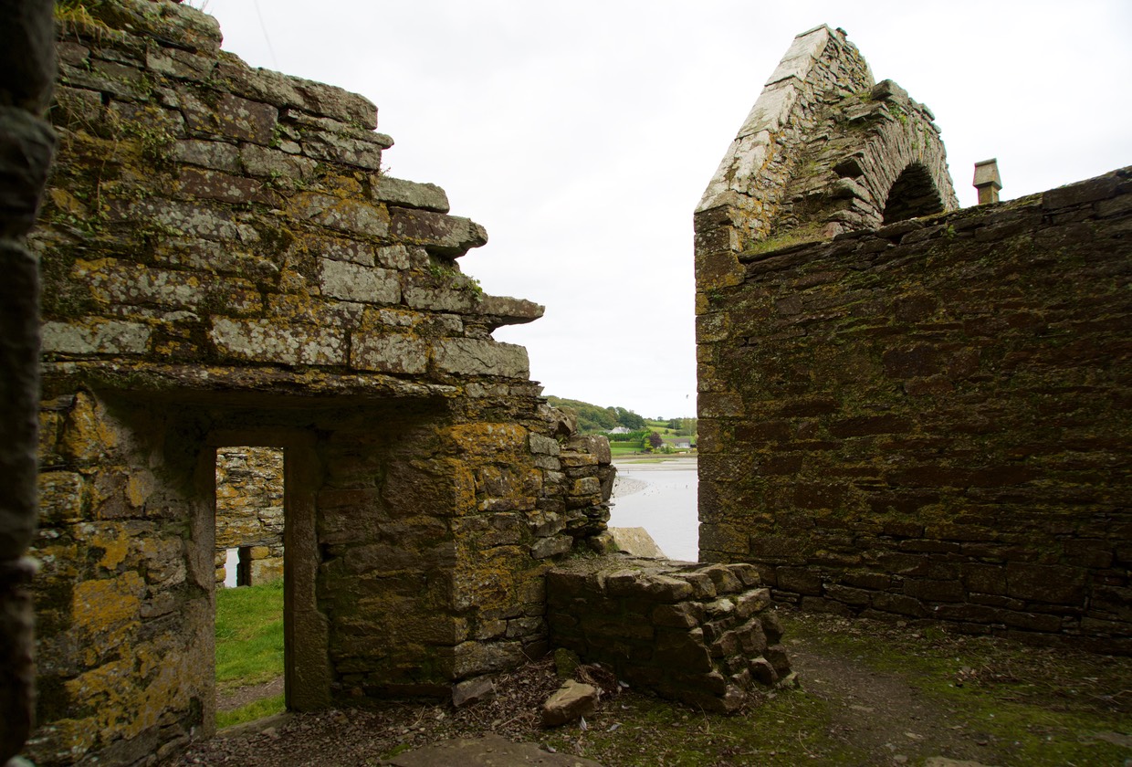 150916 Timoleague Friary 1300s