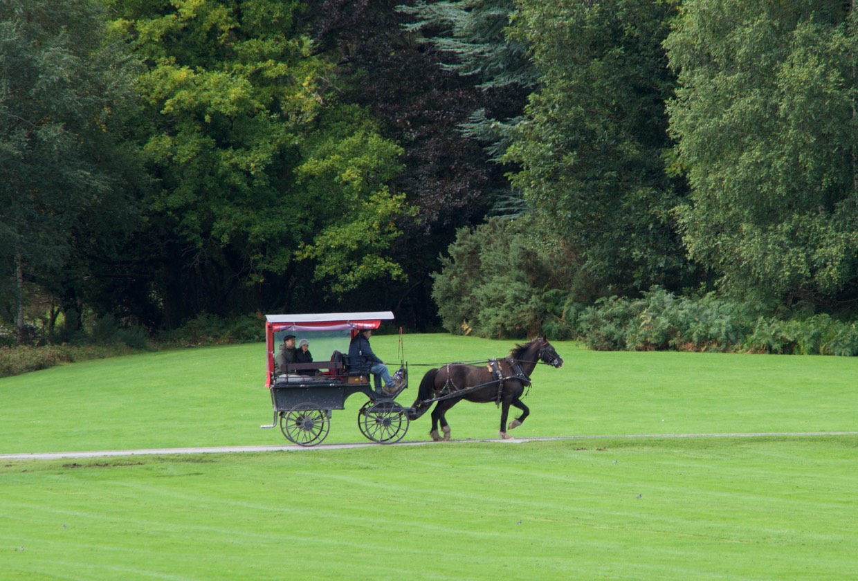 150916 Muckross House Jaunting Car