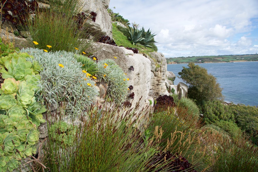 150924 16 Gardens of  St Michaels Mount.jpg