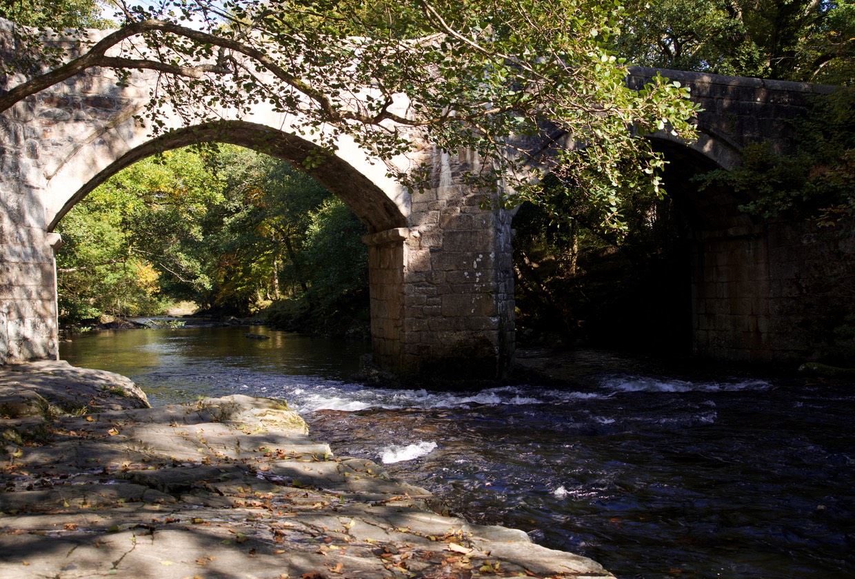 151013 Drive day to Dartmoor National Park Dart River