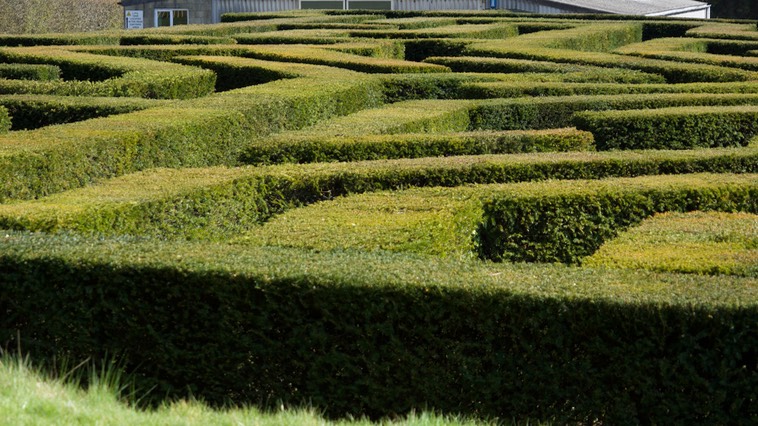160419 8 Leeds Castle began 1278 Garden Maze