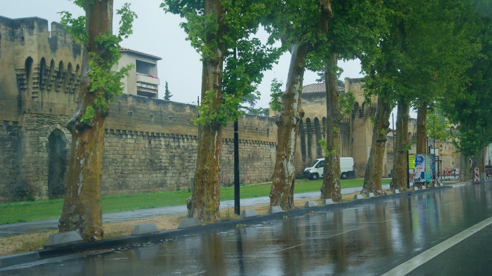 170511 6 Avignon Grey and wet