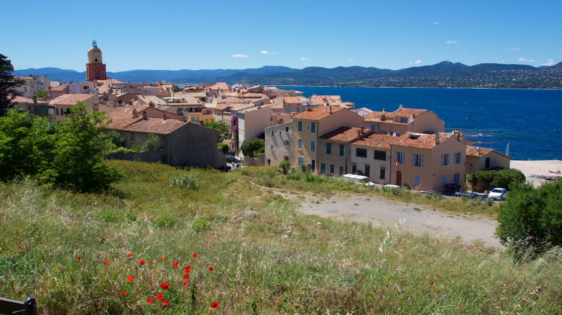 170519 12 Touring St Tropez with Lillian and Rudy Poppies