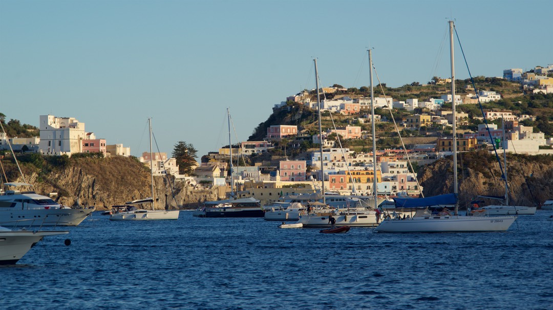 170708 4  Isle Ponza a flotilla of boats