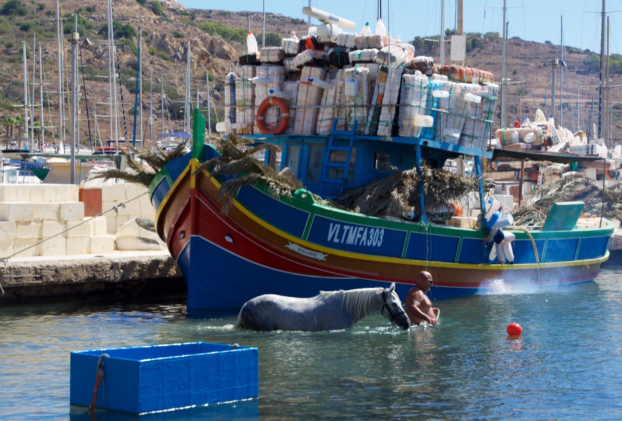 170813 Happy horse in water beside local fishing boat