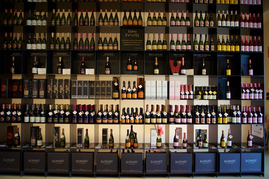 180615 4 Day 1 Road trip to Cardona LLopart Winery