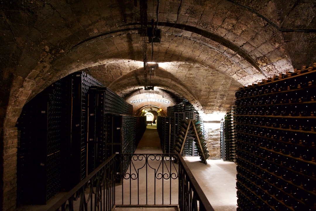 180726 2 Road Trip to Lleida Grammona Winery the cellars
