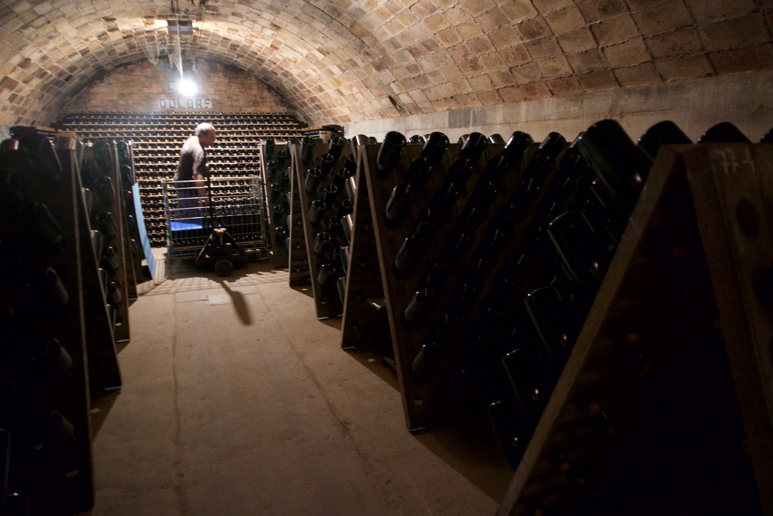 180726 6 Road Trip to Lleida Grammona Winery the cellars