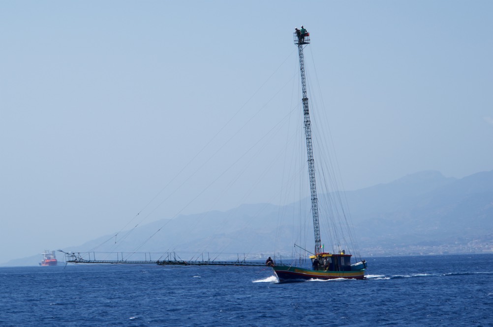 190803 5 Messina Straits Swordfish Boats