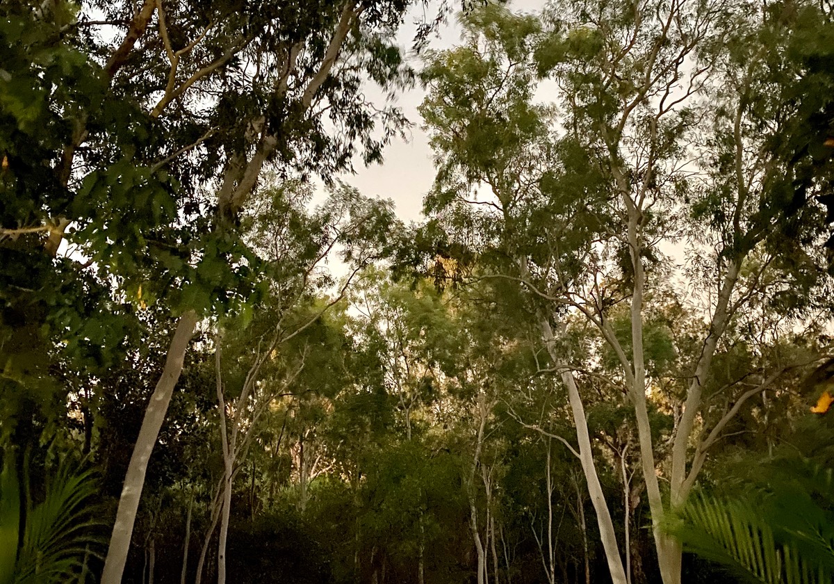 200816 Night sky Lorella Station camp area