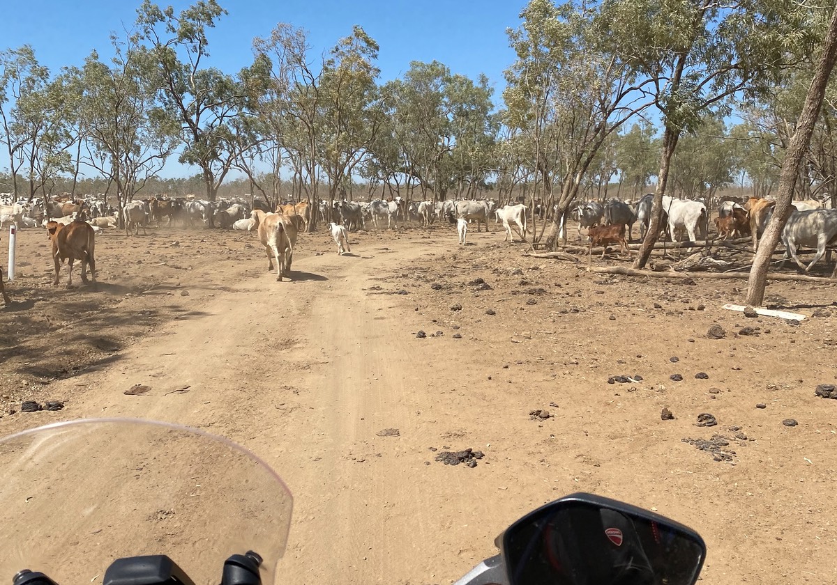 200911 Day 3 Daly Waters to Borroloola 2
