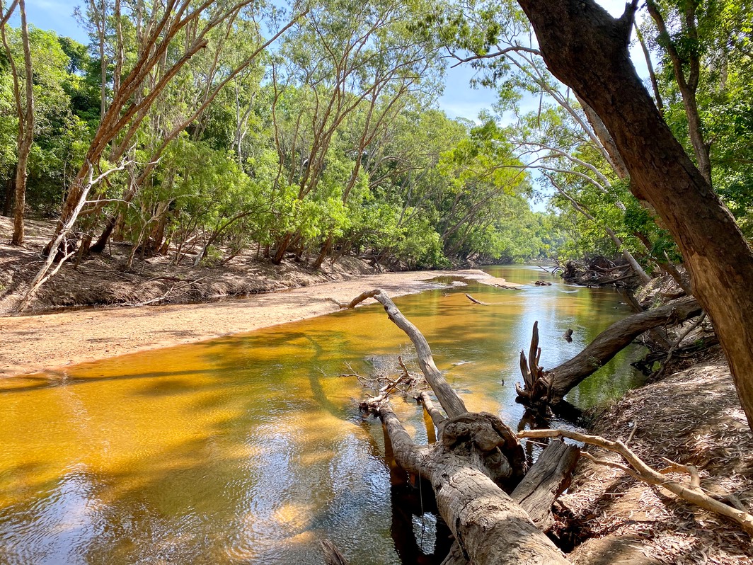 201001 Day 23 Elliot Falls to Moreton Telegraph Station -08 Refreshing swim Wenlock River