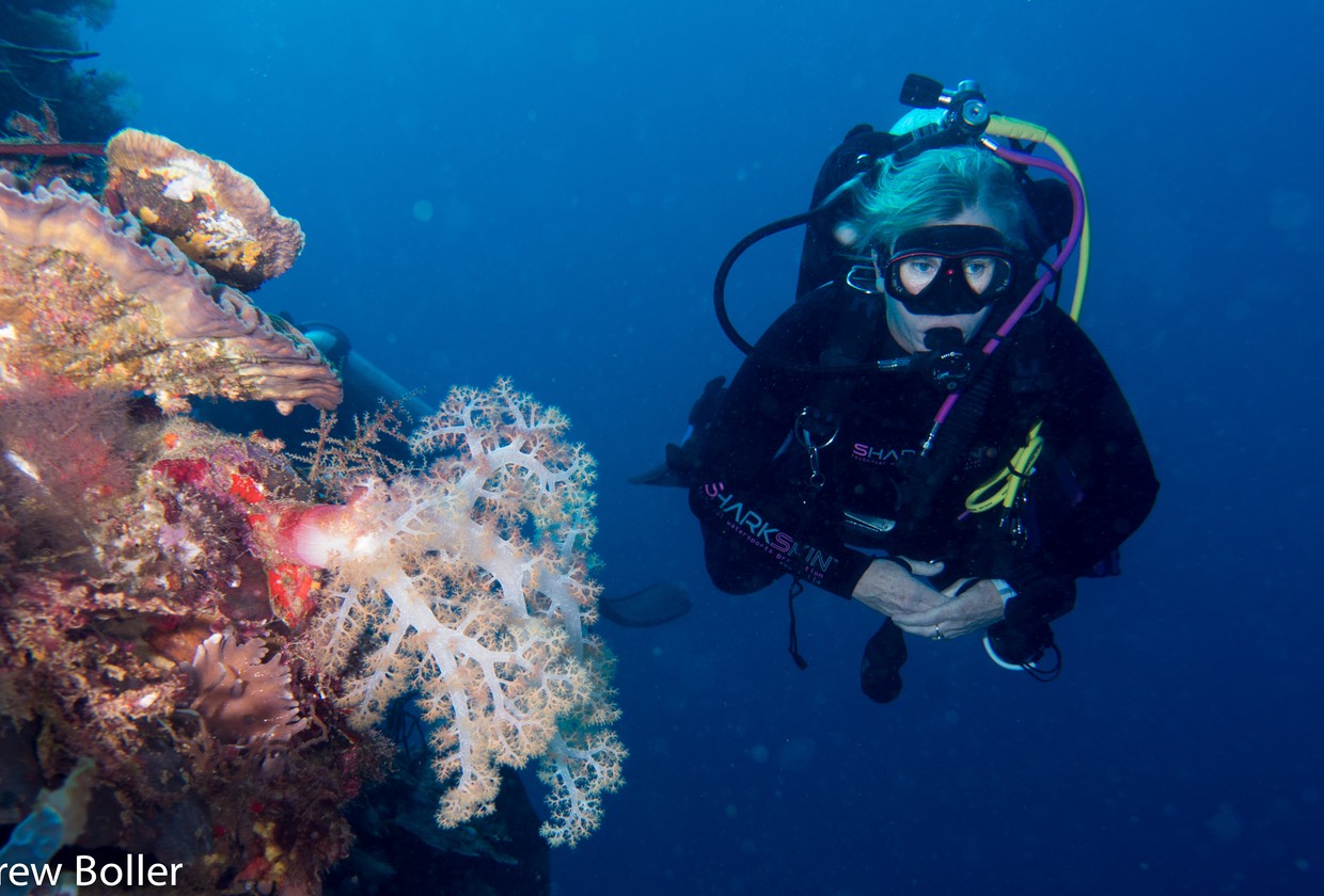 Timor - Lee heading for 40m Deep Dive