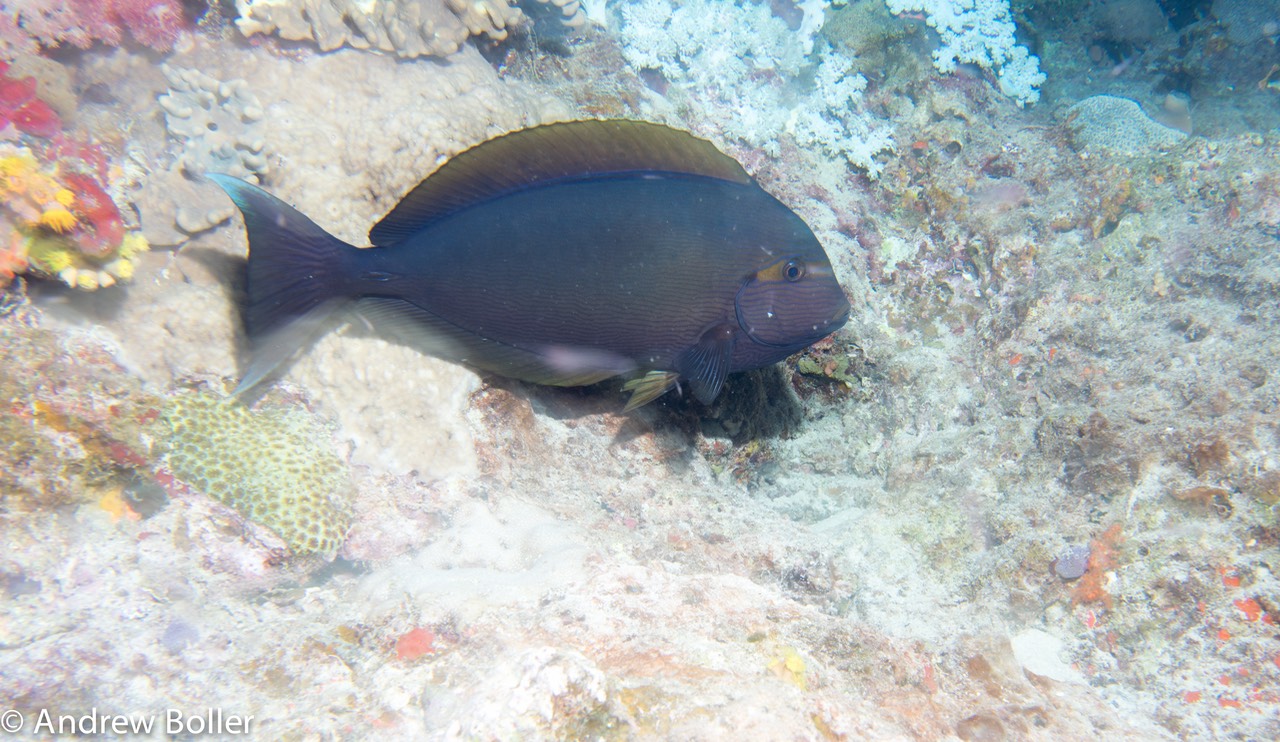 GB151130-6